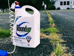 Raleigh product liability claims